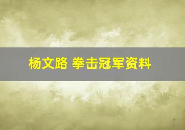 杨文路 拳击冠军资料